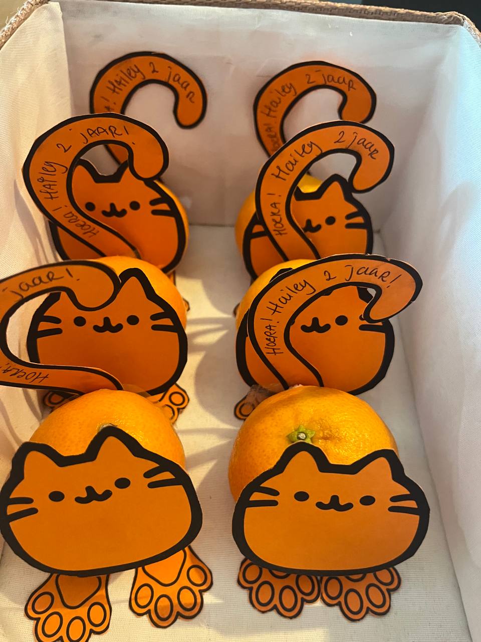 Fruit treat - Tangerine kitten
