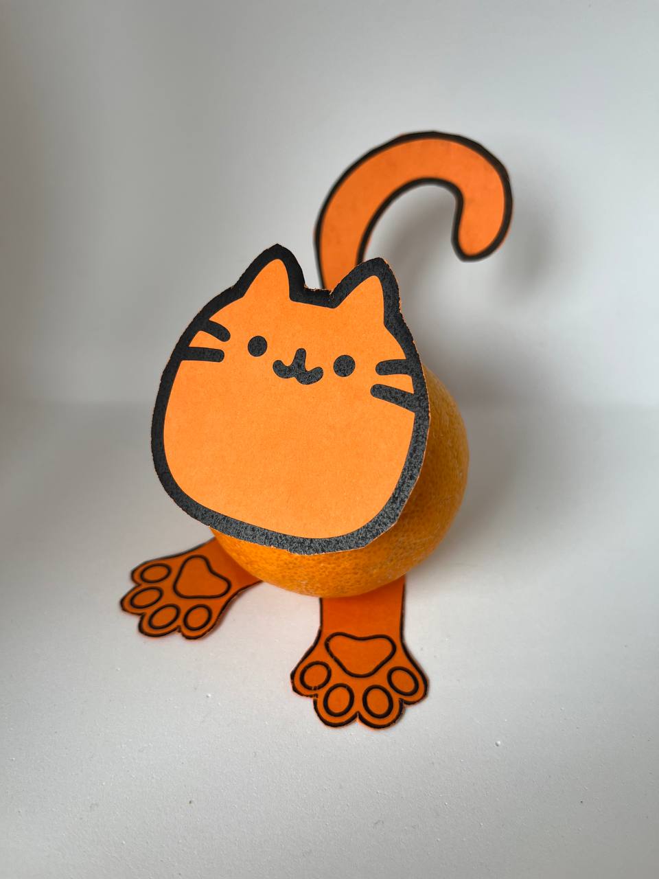Fruit treat - Tangerine kitten