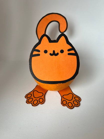 Fruit treat - Tangerine kitten